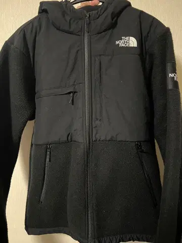 THE NORTH FACE 데날리 후디