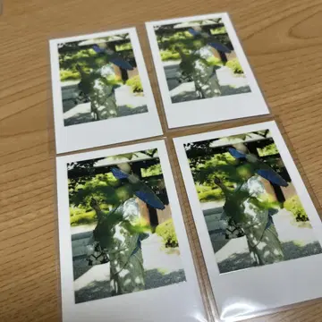 이레이스 호토케 실사 폴라로이드