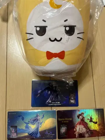 한정품 인피니티니키 TGS 2025 카드 바스켓