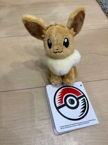 포켓몬 이브이 봉제 인형 약 15cm 카라비너 포함