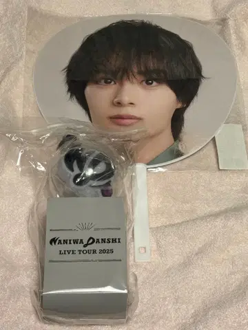 WANIWA DANSHi LIVE TOUR 2025 부채 응원봉