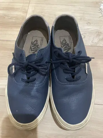 VANS 네이비 로우컷 스니커즈