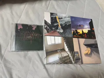 ammo CD 5개 세트 낱개 판매 가능