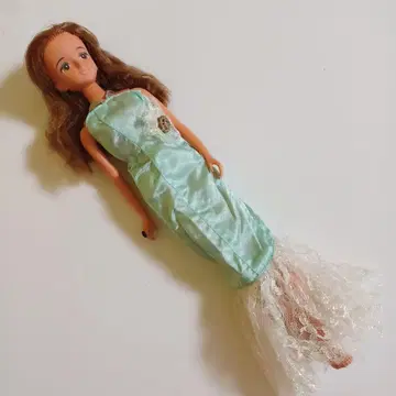 1981년 제니 일광화상 피부 인형 당시 물품