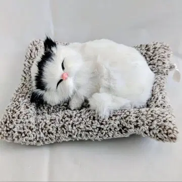 꿈꾸는 쌔근쌔근 냥코 봉제 인형 고양이 입상