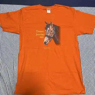 Dream Journey 2009 T셔츠 오렌지