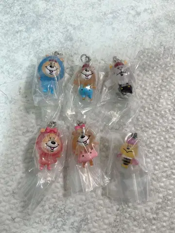 쿠마탄 메지루시 액세서리 컴프 6개 세트