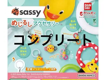 컴플리트 Sassy 메지루시 액세서리