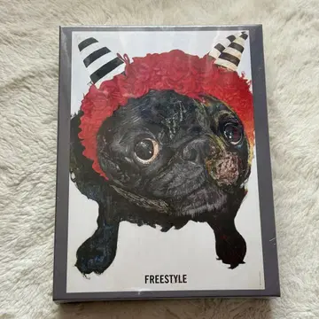 오노 사토시 FREE STYLE 퍼즐