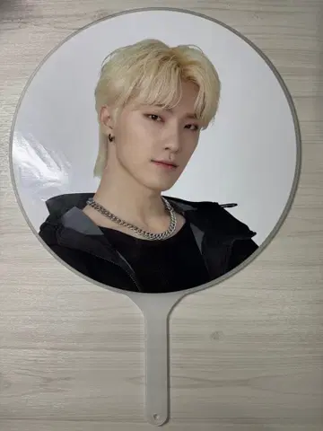 세븐틴 follow 부채 디노