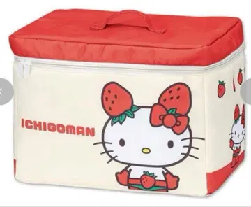 헬로키티 이치고맨 뚜껑 있는 수납 박스 아베일 HELLO KITTY
