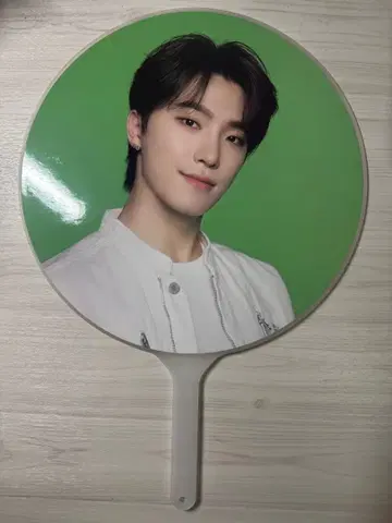 seventeen follow again 부채 디노