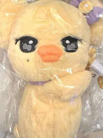 IVE 레이 REI minive POPUP 허그 백