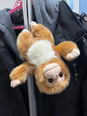 원숭이 봉제 인형