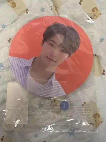 SEVENTEEN 세부치 디노 carat land 2021 부채