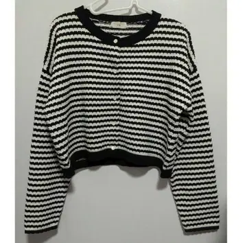 이에나 가디건 보더