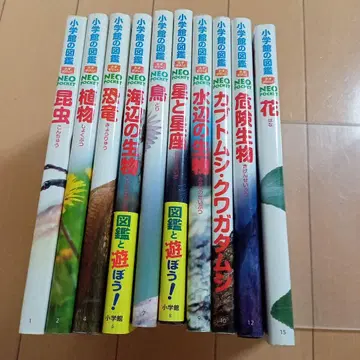 소학관의 도감 네오포켓 NEOPOCKET 10권 세트
