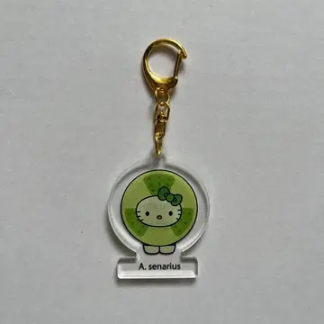 모키티 오사카 간사이 만박 일본관 카자구루마케이소
