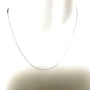 플라티나 850 목걸이 체인