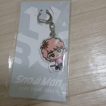 Snow Man LIVE TOUR 2022 키링