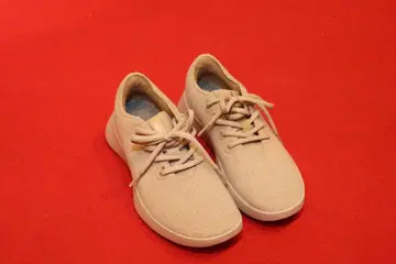 Allbirds 베이지 스니커즈