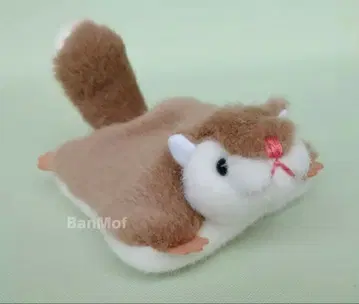 반바파에리아 봉제 인형 작가 모몽가 레어