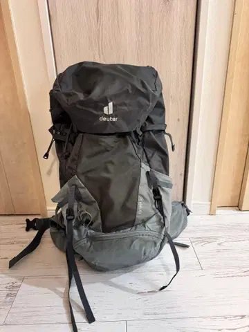deuter FUTURA 32 백팩 그레이