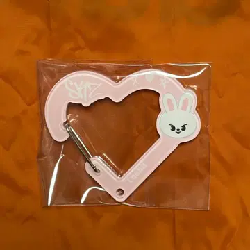 스키즈 서울콘 팝업 카라비너 리노