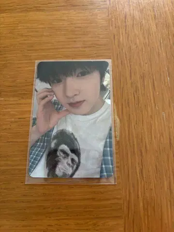 NCT WISH Steady Applemucis 럭키 드로우 사쿠야