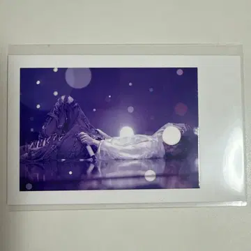 이레이스 실사 폴라로이드 쇼토