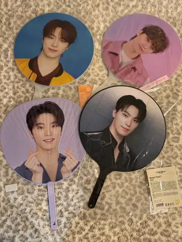 SEVENTEEN 디노 부채 묶음 판매