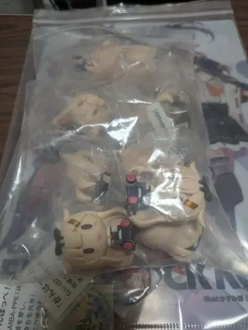 칸코레 쵸코놋코 유다치 개2 10개 세트