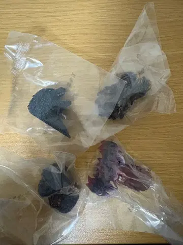 제일복권 고질라 괴수난무 -난폭한 존재- E상 컴플리트 마그넷