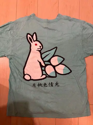 FR2 월도 오키나와 한정판 T셔츠 M 터콰이즈 블루