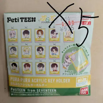 SEVENTEEN PetiTEEN 아크릴 키링 5개 세트