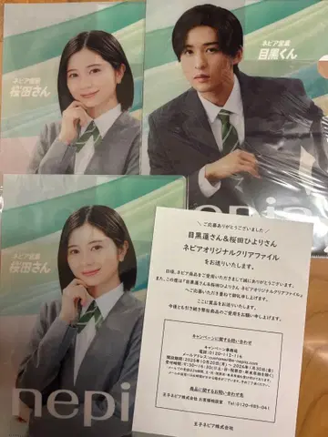 네피아 클리어 파일 메구로 렌 벚꽃