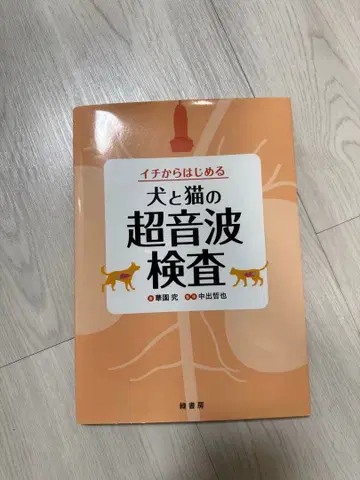 이치에서 시작하는 개와 고양이의 초음파 검사