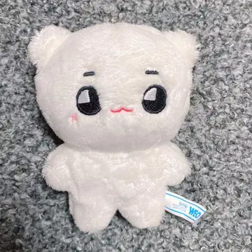 NCT NCT127 이리치루 태용 태용야 봉제 인형 마스터