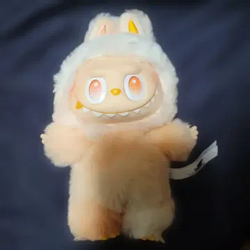 러브러브 loyalty