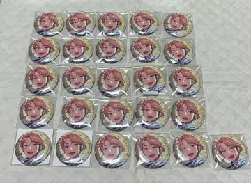 앙스타 캔뱃지 나루카미 아라시