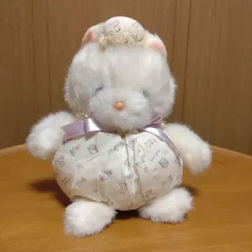 죽순 고양이