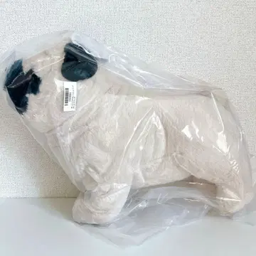 언제나 함께 퍼그 BIG 봉제 인형