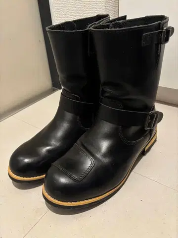 와일드 윙 이글 26.5cm