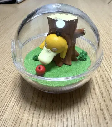 포켓몬 테라리움 컬렉션 도토리가 열리지 않는 코닥