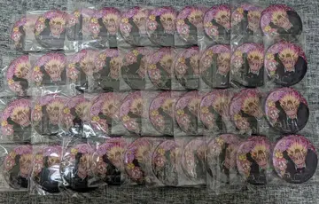 시도 류세이 Duel 캔뱃지