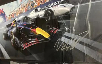 맥스 페르스타펜 친필 사인 LEGO verstappen F1