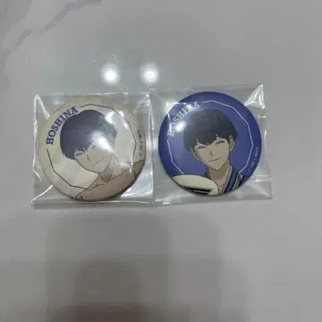 호시나 소우시로 극락장 캔뱃지