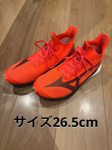 미즈노 웨이브 듀얼 네오