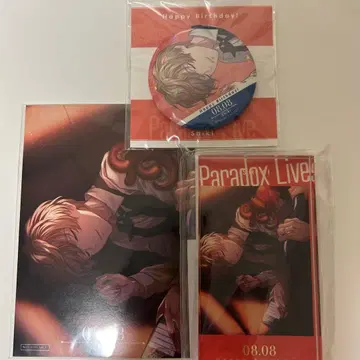 파라라이 벌스데이 2023 사계절