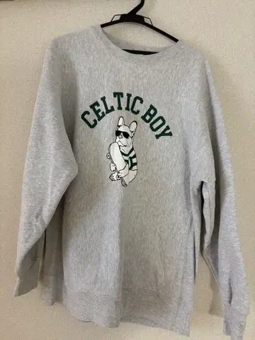 flArSisCA 맨투맨 beams